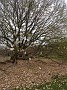 IMG_20190414_150909021