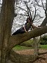 IMG_20190414_151108321_HDR