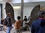 IMG_20191025_113003