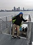 IMG_20191025_135453