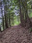 IMG_20200601_182040