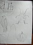 IMG_20200602_083228