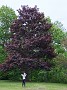 IMG_20200602_174235
