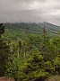 IMG_20200603_164534