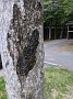 IMG_20200607_150411