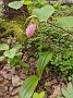IMG_20200614_154542