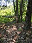 IMG_20200616_122500