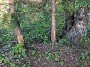 IMG_20200617_192529