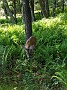 IMG_20200727_103004