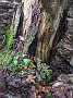 IMG_20200731_115211