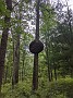 IMG_20200801_123305