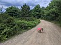 IMG_20200801_133210