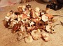 IMG-20200915-WA0008