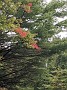 IMG_20200924_154150
