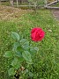 IMG_20200929_154855
