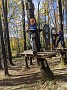 IMG_20201117_041048