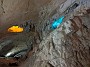 IMG_20201121_074603