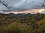 IMG_20201121_084504