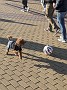 IMG_20201123_071026
