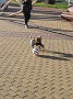 IMG_20201123_071104