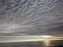 IMG_20201123_075416