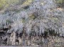 IMG_20201126_020941
