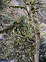 IMG_20201126_040522