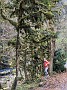 IMG_20201126_040536