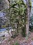 IMG_20201126_040824