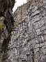 IMG_20201126_042123