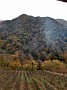 IMG_20201126_111508537_HDR