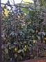 IMG_20201127_030748