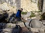 IMG_20201127_032901