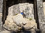 IMG_20201127_033031