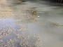 IMG_20201127_033541