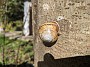 IMG_20201127_034502