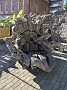 IMG_20201127_040224