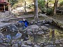 IMG_20201127_051233