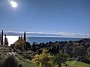 IMG_20201127_054018