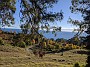 IMG_20201127_063952