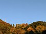 IMG_20201127_082057