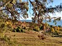 IMG_20201127_143939871_HDR