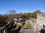 IMG_20201128_011804