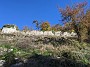 IMG_20201128_014305