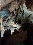 IMG_20201128_050624