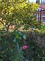 IMG_20201128_055313