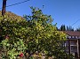IMG_20201128_055317