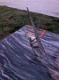 IMG_20201128_090747