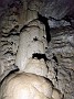 IMG_20201128_122243565