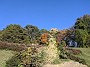 IMG_20201129_052950